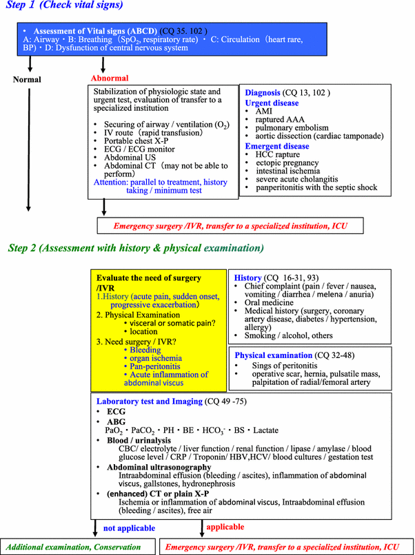 Flank Pain - Differential Diagnosis in Primary Care, 4th Edition