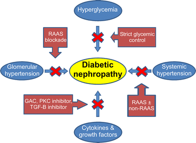 diabetic nephropathy without hypertension