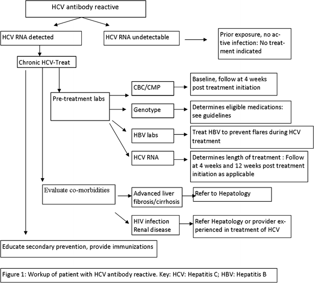 Diagnosis And Management Of Hepatitis C Infection In Primary Care Settings Springerlink Diagnosis And Management Of Hepatitis C Infection In Primary Care Settings Springerlink