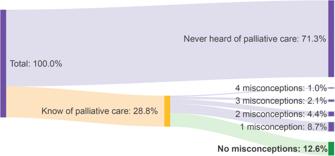 Lack Of Awareness And Common Misconceptions About Palliative Care Among Adults Insights From A National Survey Springerlink