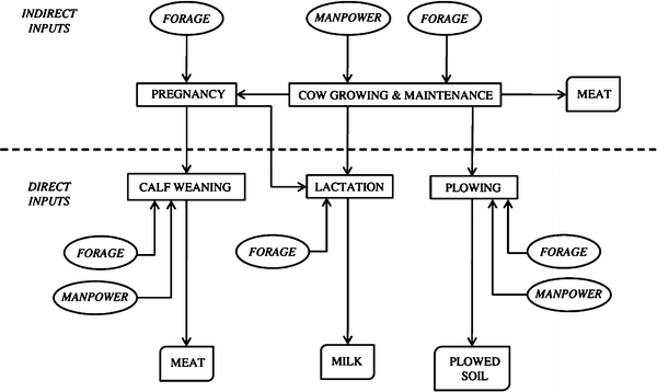 Environmental comparison of draught animal and tractor power | SpringerLink Environmental comparison of draught animal and tractor power | SpringerLink