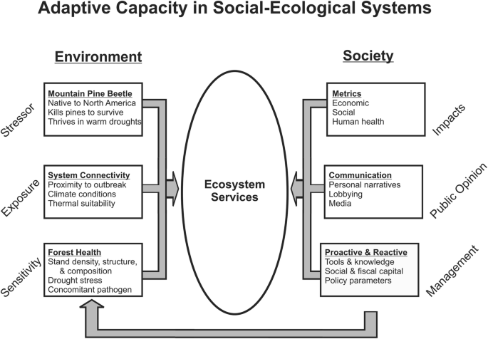 Adaptive capacity in social–ecological systems: a framework for addressing  bark beetle disturbances in natural resource management | SpringerLink