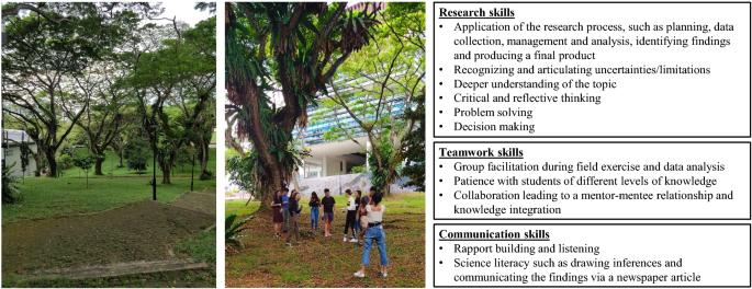 Promoting sustainability through hands-on a tree carbon sequestration exercise in a Singapore green space SpringerLink