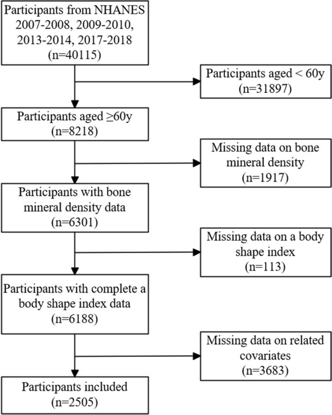 Association of a body shape index with femur bone mineral density among ...