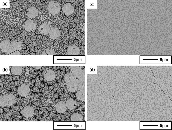 Effects of Under Bump Metallurgy (UBM) Materials on the Corrosion of  Electroless Nickel Films