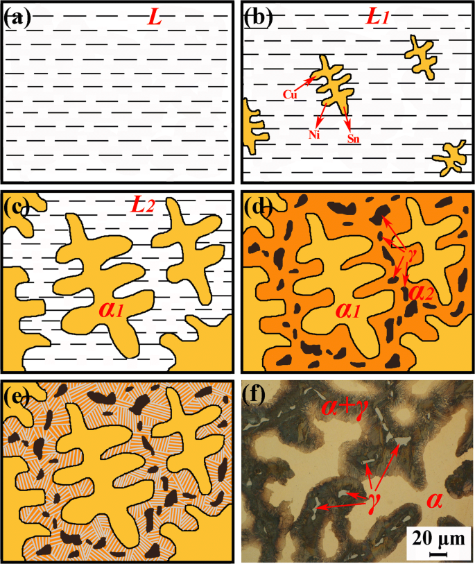 Solidification Characteristics And Segregation Behavior Of Cu 15ni 8sn Alloy Springerlink