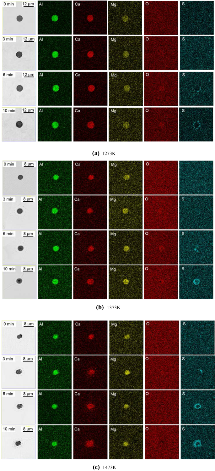 Inclusion Evolution in Al-Killed Ca-Treated Steels at Heat Treatment  Temperature In Situ Observed Using Confocal Scanning Laser Microscope |  SpringerLink
