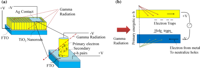 Gamma Radiation Dosimetry Characteristics Of Hydrothermally Synthesized Tio2 Nanorods Springerlink
