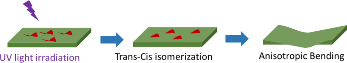 scheme 3