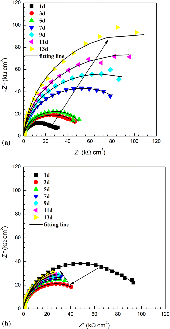 Corrosion Of 907 Steel Influenced By Sulfate Reducing Bacteria Springerlink