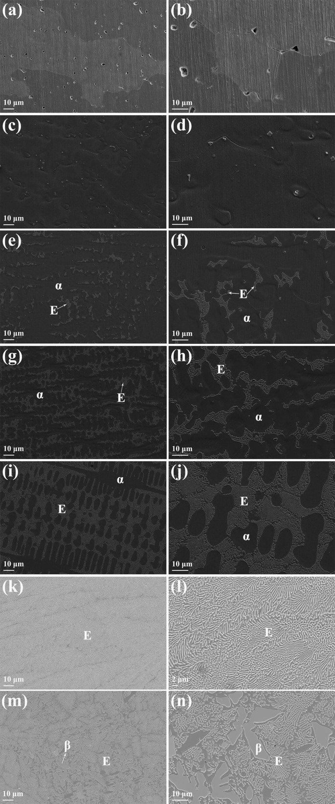 Effects Of Ta Addition On The Microstructure And Mechanical Properties Of Cocu 0 5 Feni High Entropy Alloy Springerlink Effects Of Ta Addition On The Microstructure And Mechanical Properties Of Cocu 0 5 Feni High Entropy Alloy Springerlink