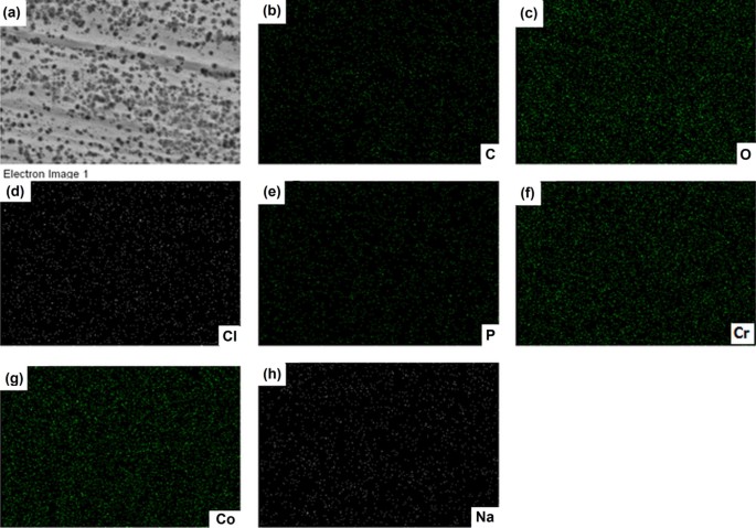 Corrosion Assessment Of An Implantable Dental Co Cr Alloy In Artificial Saliva And Biocompatibility Behavior Springerlink