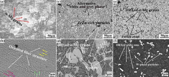 Phase Species Dependent Electrochemical And Corrosion Behaviors Of Wrought Mg Y Zn Based Alloys Springerlink Phase Species Dependent Electrochemical And Corrosion Behaviors Of Wrought Mg Y Zn Based Alloys Springerlink