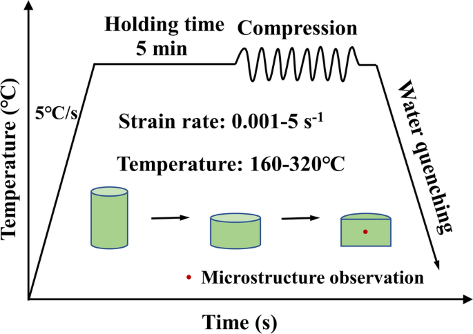 Hot Compression Deformation Behavior and Microstructure Evolution of ...
