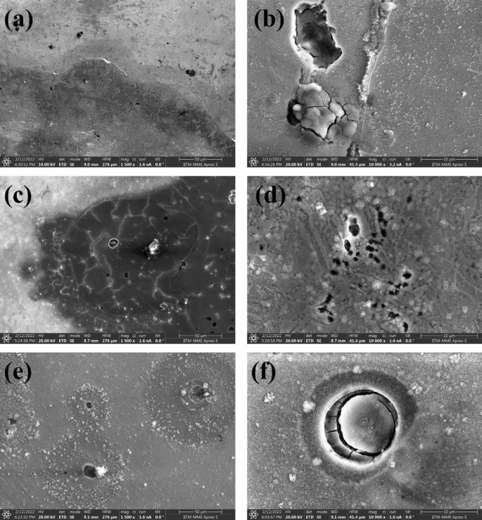 Corrosion Resistance, Hydrogen Diffusion, and Trapping Behavior in ...