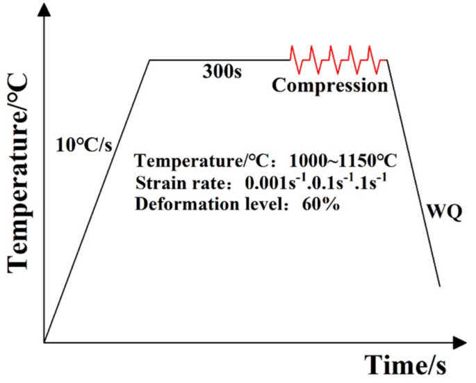 Thermal deformation behavior and microstructure evolution of a novel ...
