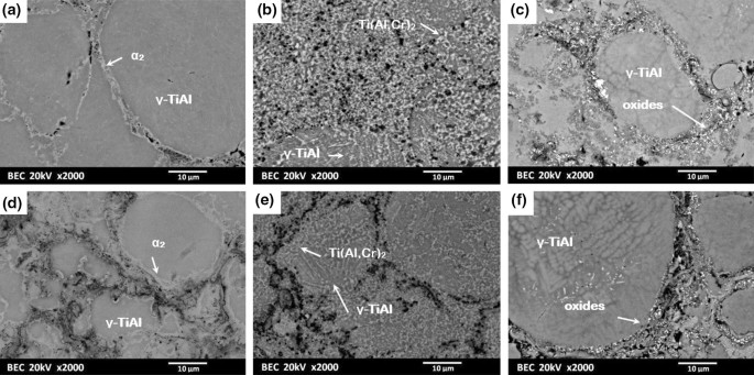 Microstructure And Oxidation Performance Of Tial Cr Nb Ta Coatings Fabricated By Warm Spray And High Velocity Oxy Fuel Spraying Springerlink