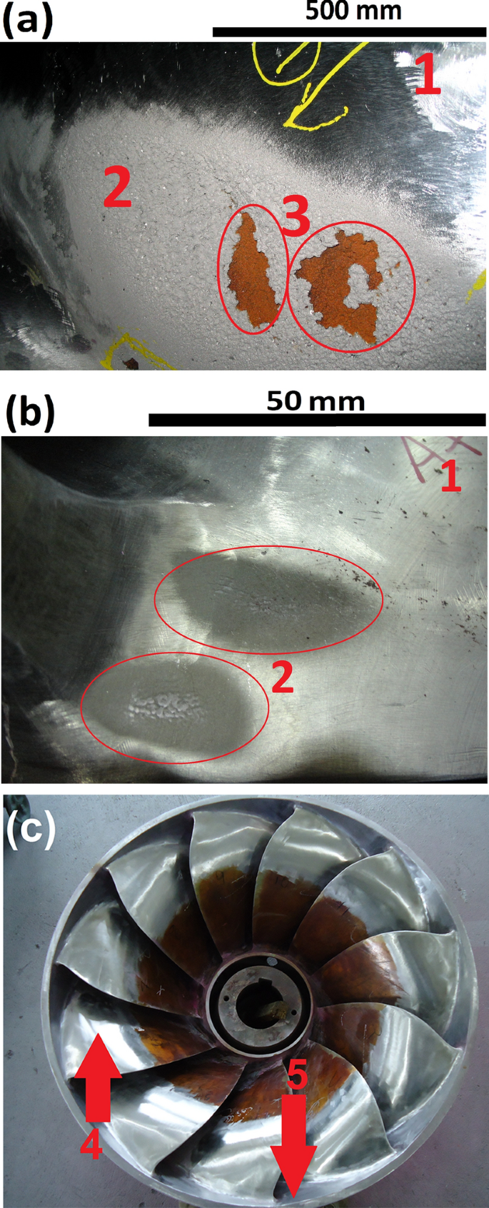 Comparison Of Femncrsi Cavitation Resistance Coatings Deposited By Twin Wire Electric Arc And High Velocity Oxy Fuel Processes Springerlink