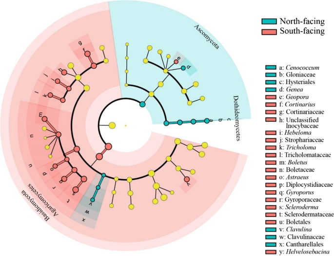 Influence Of The Slope Aspect On The Ectomycorrhizal Fungal Community Of Quercus Variabilis Blume In The Middle Part Of The Taihang Mountains North China Springerlink