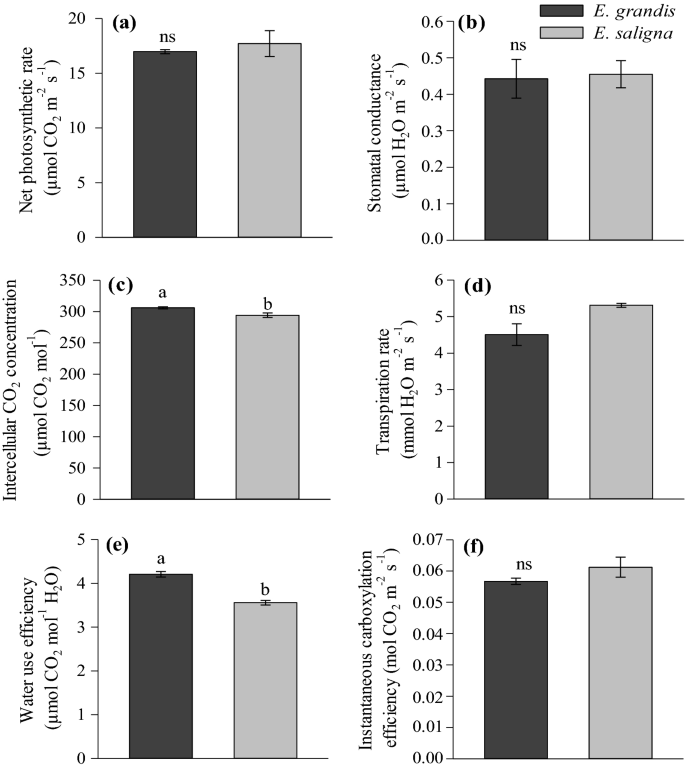 Morphological And Kinetic Parameters Of The Absorption Of Nitrogen Forms For Selection Of Eucalyptus Clones Springerlink
