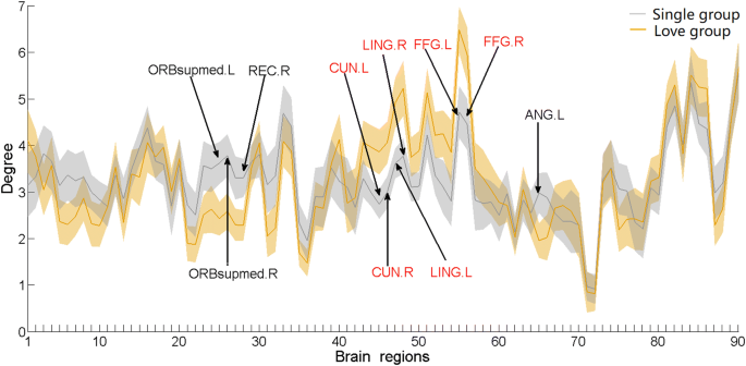 Altered Brain Network Organization In Romantic Love As Measured With Resting State Fmri And Graph Theory Springerlink