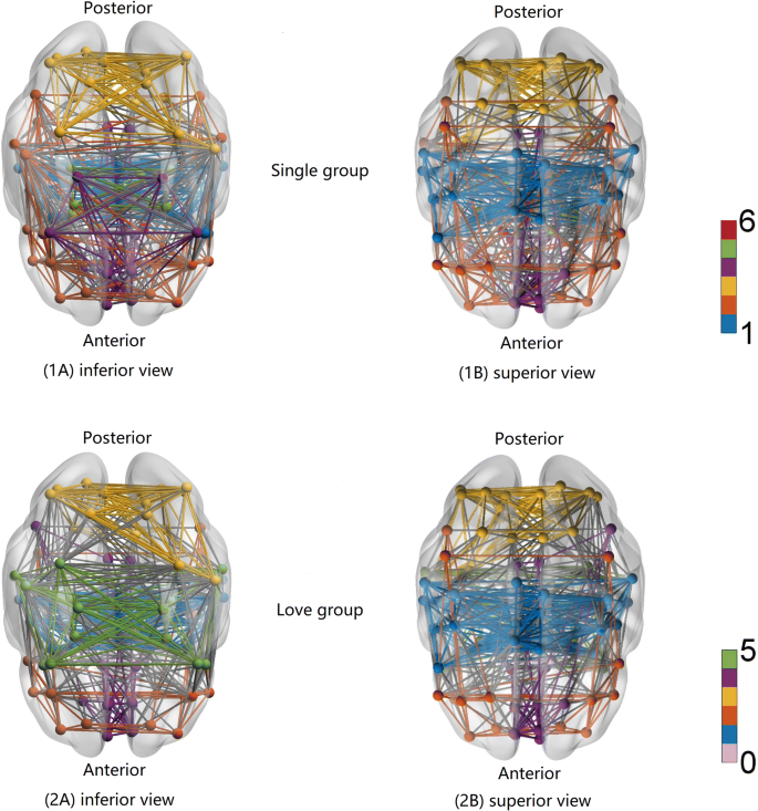 Altered Brain Network Organization In Romantic Love As Measured With Resting State Fmri And Graph Theory Springerlink