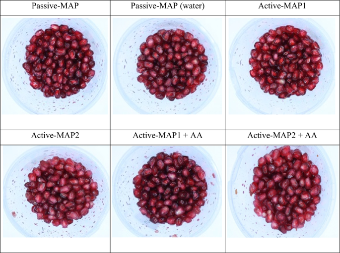 Extending The Shelf Life And Maintaining Quality Of Minimally Processed Pomegranate Arils Using Ascorbic Acid Coating And Modified Atmosphere Packaging Springerlink