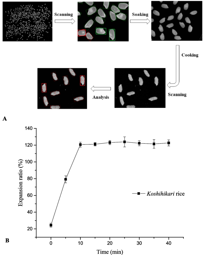 of volume expansion properties of cooked rice and correlation
