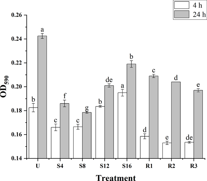 Adhesion of Escherichia coli O157H7 during freezinginduced sublethal