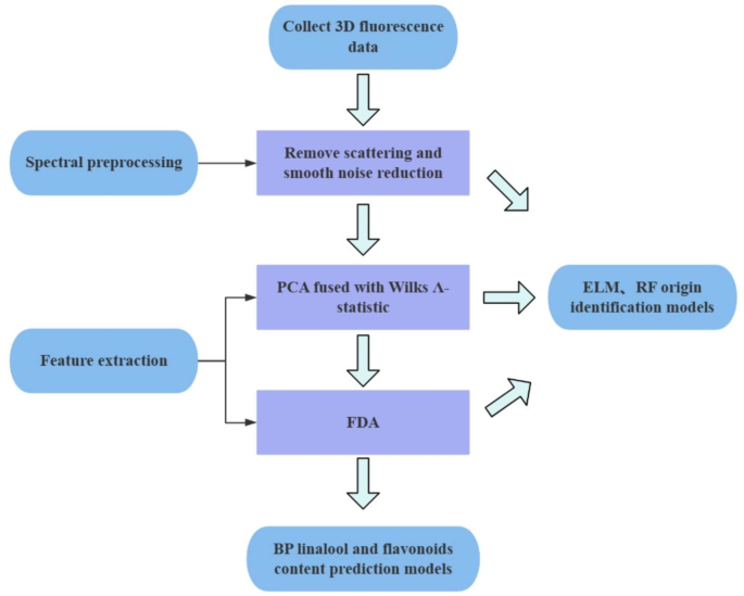 Process Characterization Fda Feature extraction of fluorescence excitation-emission matrices using ...