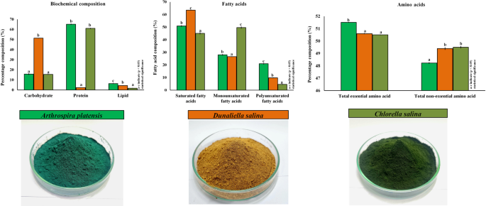 glutathion methylation Glutathione Synthesis Explained: How Your Body Builds Its Master  Antioxidant