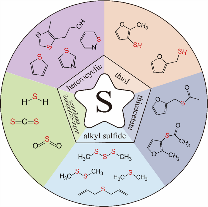 glutathione odor sulfur smell cosmetics cysteine thiol smell Volatile sulfur compounds in cooked meat flavor: formation, odor effects,  and modulation strategies | Journal of Food Measurement and  Characterization