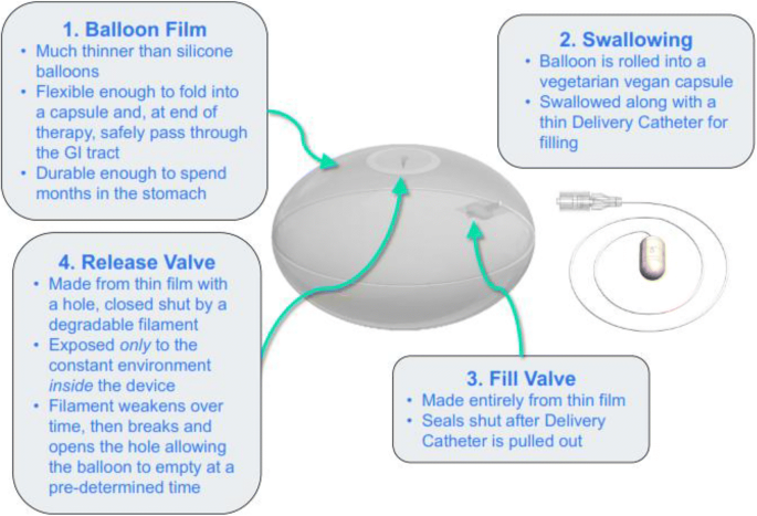 The Procedureless Elipse Gastric Balloon Program: Multicenter Experience in  1770 Consecutive Patients | SpringerLink