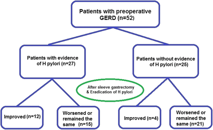 Helicobacter Pylori Sleeve Gastrectomy And Gastroesophageal Reflux Disease Is There A Relation Springerlink