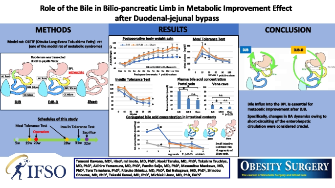 The Significance of Bile in the Biliopancreatic Limb on Metabolic ...