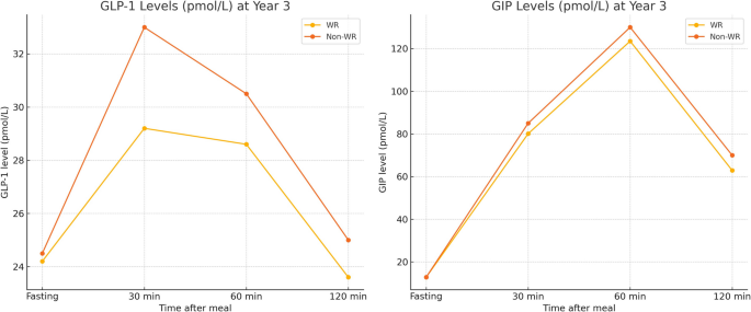 does skinny fit glp 1 work How Long Does It Take For Semaglutide GLP-1 To Work?