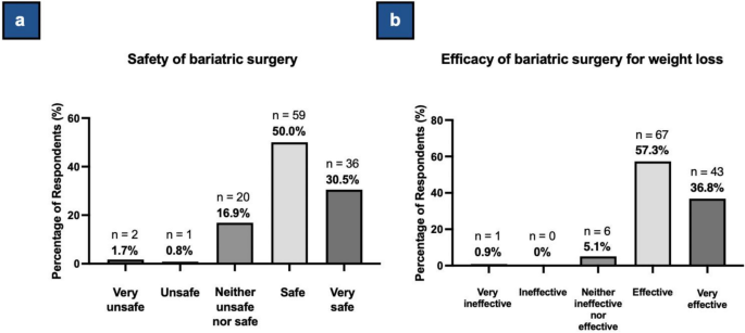 Perspectives of Patients Seeking Bariatric Surgery: The Impact of Early ...