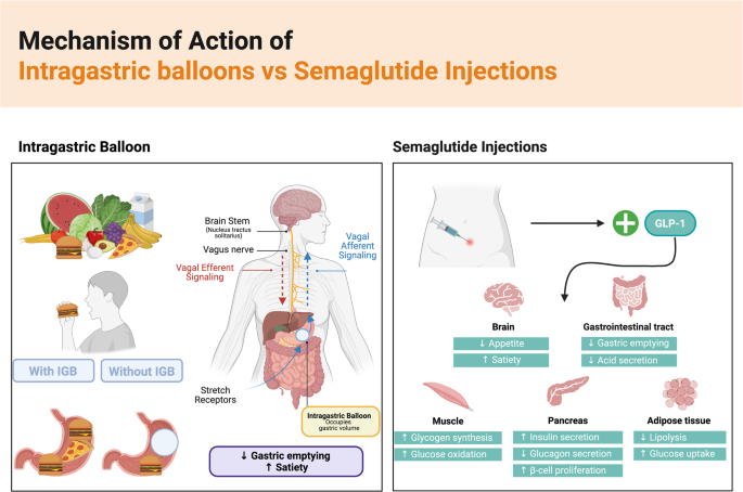 semaglutide tracker TrimRX semaglutide tracker TrimRX