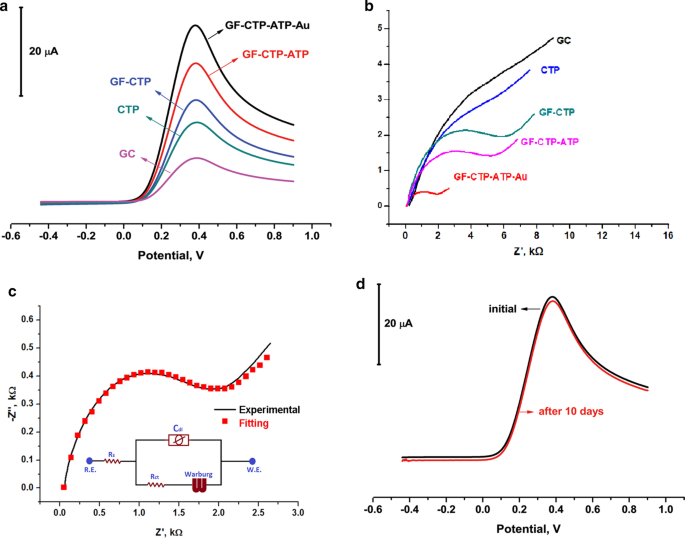 An Electrochemical Label Free Dna Impedimetric Sensor With Aunp Modified Glass Fiber Carbonaceous Electrode For The Detection Of Hiv 1 Dna Springerlink