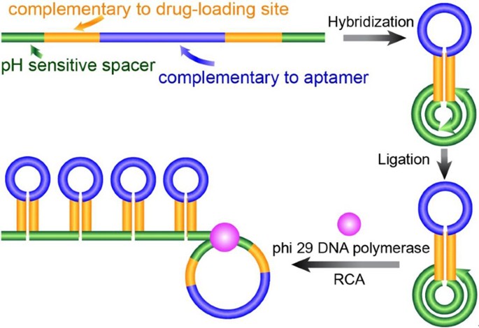 aptamer coded dna nanoparticles for