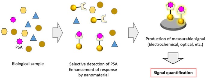 prostatitis specifikus antigén