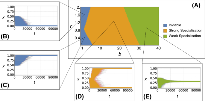 A computational model of task allocation in social insects 
