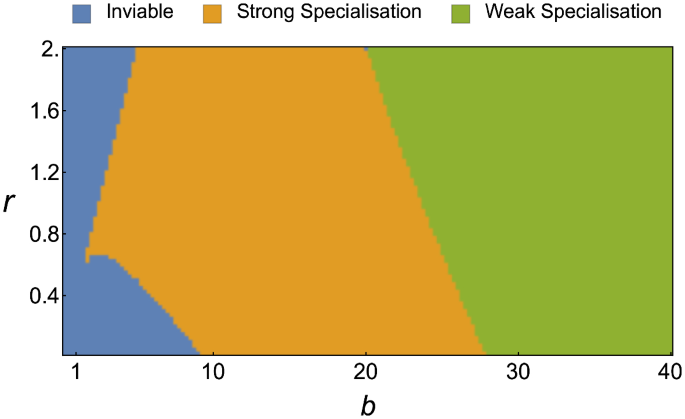 A computational model of task allocation in social insects 