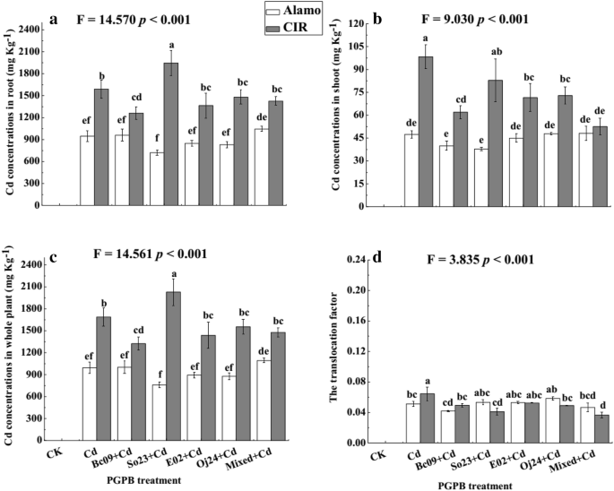 Shoot Endophytic Plant Growth Promoting Bacteria Reduce Cadmium Toxicity And Enhance Switchgrass Panicum Virgatum L Biomass Springerlink Shoot Endophytic Plant Growth Promoting Bacteria Reduce Cadmium Toxicity And Enhance Switchgrass Panicum Virgatum L Biomass Springerlink