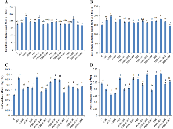 Seed Priming With Cold Plasma And Supplementation Of Culture Medium With Silicon Nanoparticle Modified Growth Physiology And Anatomy In Astragalus Fridae As An Endangered Species Springerlink