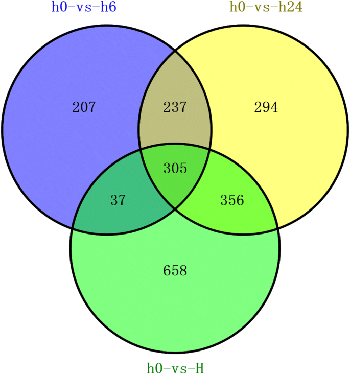 De Novo Transcriptome Analysis Of Lettuce Lactuca Sativa L And The Identification Of Structural Genes Involved In Anthocyanin Biosynthesis In Response To Uv B Radiation Springerlink De Novo Transcriptome Analysis Of Lettuce Lactuca Sativa L And The Identification Of Structural Genes Involved In Anthocyanin Biosynthesis In Response To Uv B Radiation Springerlink