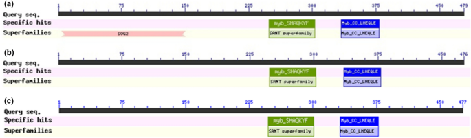 Genome-wide molecular characterization of Phosphate Transporter 1 