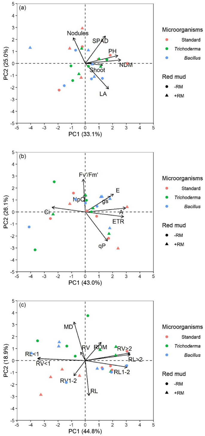 Photosynthetic performance and root architecture of soybean co-inoculated  with Amazonian microorganism strains are influenced by red mud application  | SpringerLink