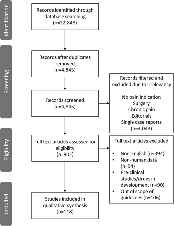 Approaching Acute Pain In Emergency Settings European Society For Emergency Medicine Eusem Guidelines Part 1 Assessment Springerlink