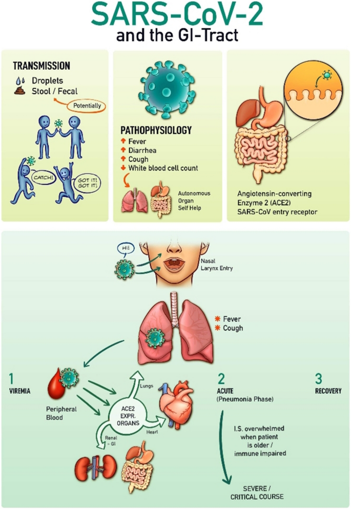 A narrative review of coronavirus disease 2019 (COVID-19): clinical, epidemiological characteristics, and systemic manifestations | SpringerLink A Narrative Review Of Coronavirus Disease 2019 (Covid-19): Clinical, Epidemiological Characteristics, And Systemic Manifestations | Springerlink